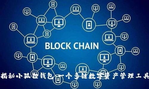 揭秘小狐狸钱包：一个多链数字资产管理工具