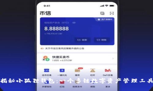 揭秘小狐狸钱包：一个多链数字资产管理工具