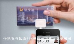小狐狸钱包在BSC网络的应用与优势解析