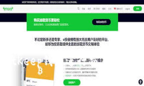 使用BitKeep钱包进行交易的完整指南