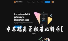 中本聪是否拥有比特币？