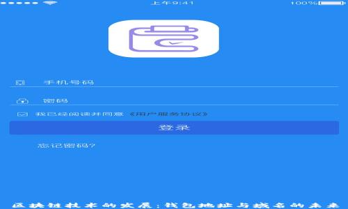 
区块链技术的发展：钱包地址与域名的未来