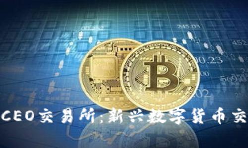 深度解析BiteCEO交易所：新兴数字货币交易平台的崛起