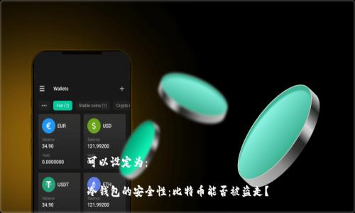 可以设定为：

冷钱包的安全性：比特币能否被盗走？