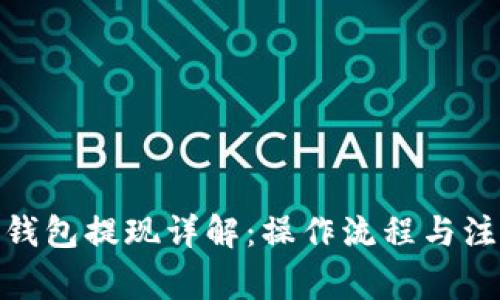 : 智能钱包提现详解：操作流程与注意事项