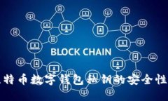 深入探讨比特币数字钱包私钥的安全性与管理策