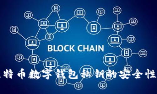 深入探讨比特币数字钱包私钥的安全性与管理策略