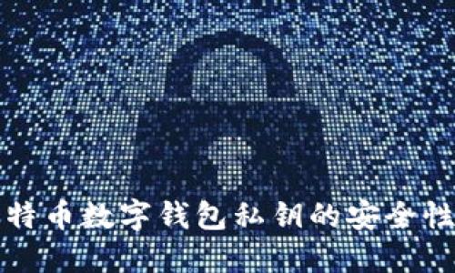 深入探讨比特币数字钱包私钥的安全性与管理策略