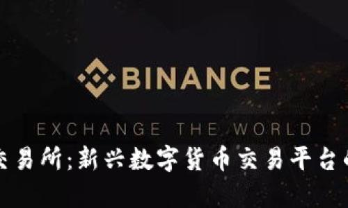Tokocrypto交易所：新兴数字货币交易平台的排名与分析