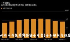 比特币钱包有哪些安全可靠？全面解析与推荐
