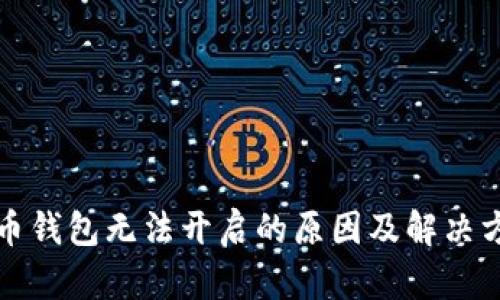 冰币钱包无法开启的原因及解决方法