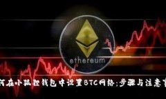 如何在小狐狸钱包中设置BTC网络：步骤与注意事