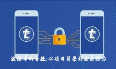 波场币的全貌：从项目背景到未来潜力