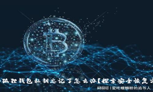  小狐狸钱包私钥忘记了怎么办？探索安全恢复方法
