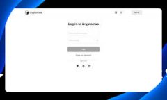 输入助记词的正确格式与