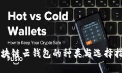 区块链云钱包的种类与选择指南