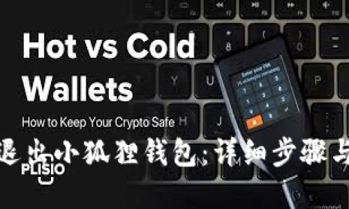 如何退出小狐狸钱包：详细步骤与建议