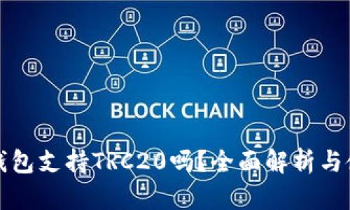 小狐狸钱包支持TRC20吗？全面解析与使用指南